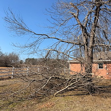 Rapid-Recovery-Storm-Debris-Cleanup-In-Oxford-MS 8